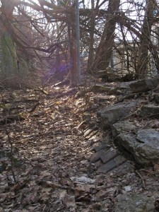 S Wendell Al. from St. Joe St., with brick exposed