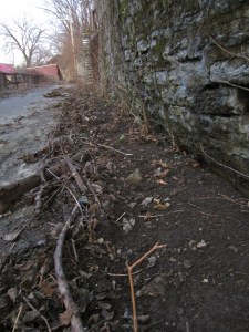 East Alley clearing - 01/18/11