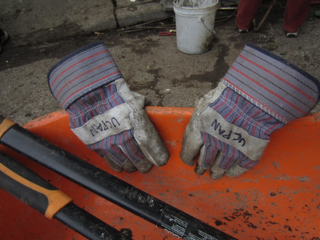 Springing back from Stepping Up in&nbsp;April