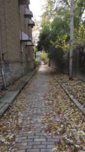 373140_347650532015653_1487507361_n