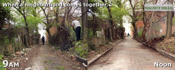 BeforeAfterFinchAlley_Logo